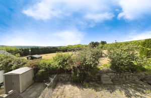 View onto Field- click for photo gallery